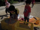 img0021.jpg