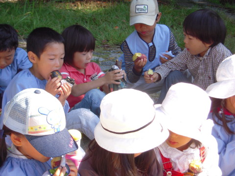 img0004.jpg