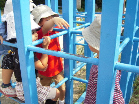 img0009.jpg
