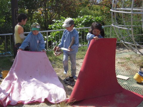 img0016.jpg