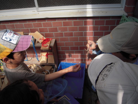 img0031.jpg