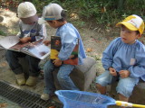 img0001.jpg