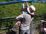 img0003.jpg