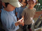 img0032.jpg