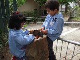 img0002.jpg