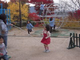 img0011.jpg