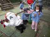 img0020.jpg
