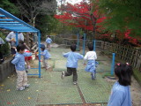 img0031.jpg