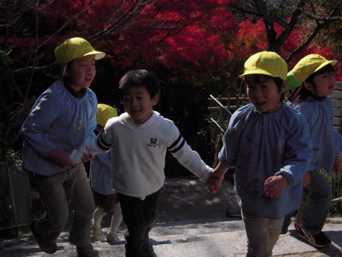 img0008.jpg