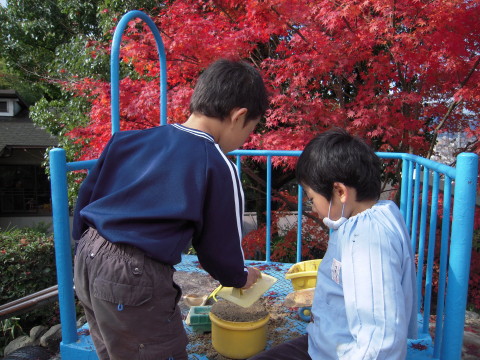 img0002.jpg