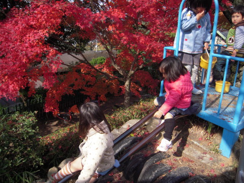 img0014.jpg