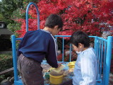img0002.jpg