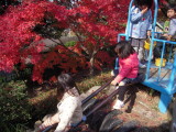 img0014.jpg