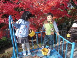 img0015.jpg
