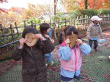 img0020.jpg