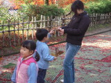 img0021.jpg