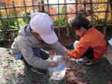 img0022.jpg