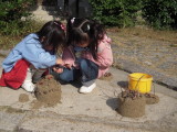img0035.jpg