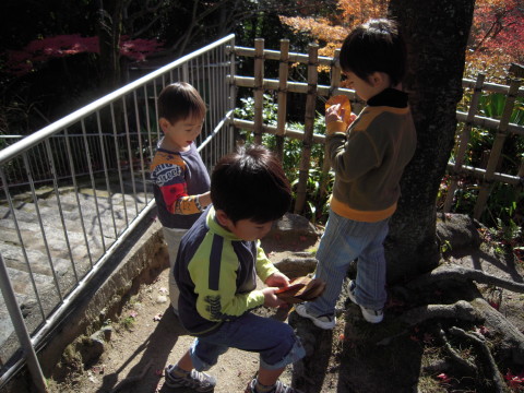 img0005.jpg