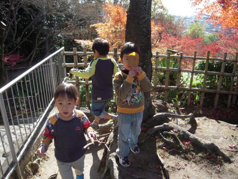 img0006.jpg