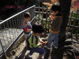 img0005.jpg