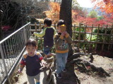 img0006.jpg