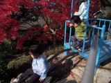 img0021.jpg