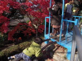 img0022.jpg