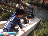 img0009.jpg