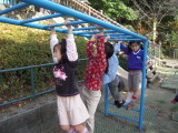 img0017.jpg
