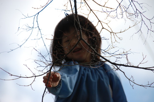 img0020.jpg