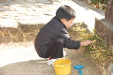 img0013.jpg