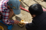 img0015.jpg
