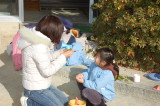 img0016.jpg