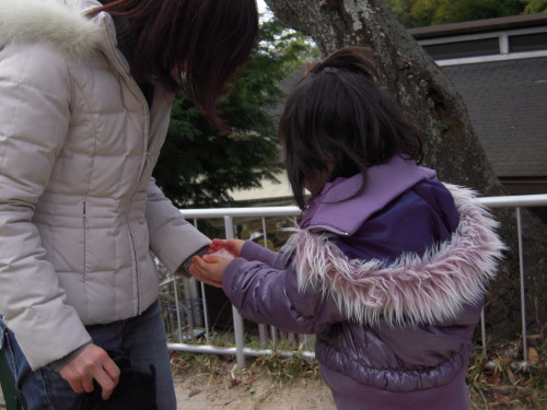 img0004.jpg