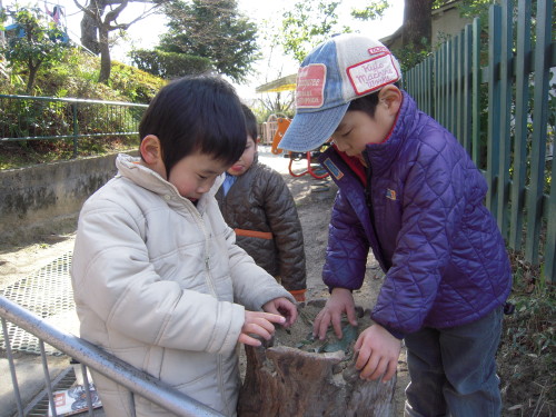 img0036.jpg