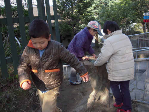 img0039.jpg