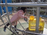 img0007.jpg