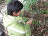 img0031.jpg