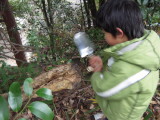 img0033.jpg