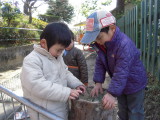 img0036.jpg