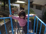 img0040.jpg