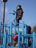 img0048.jpg