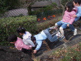 img0005.jpg