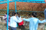 img0021.jpg