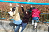 img0042.jpg