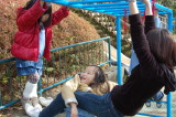 img0047.jpg
