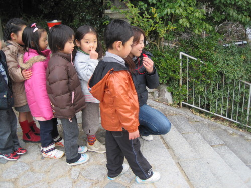 img0050.jpg