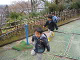img0003.jpg