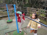 img0006.jpg